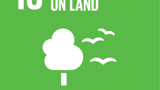 OAKK plant duizenden bomen voor een duurzame toekomst